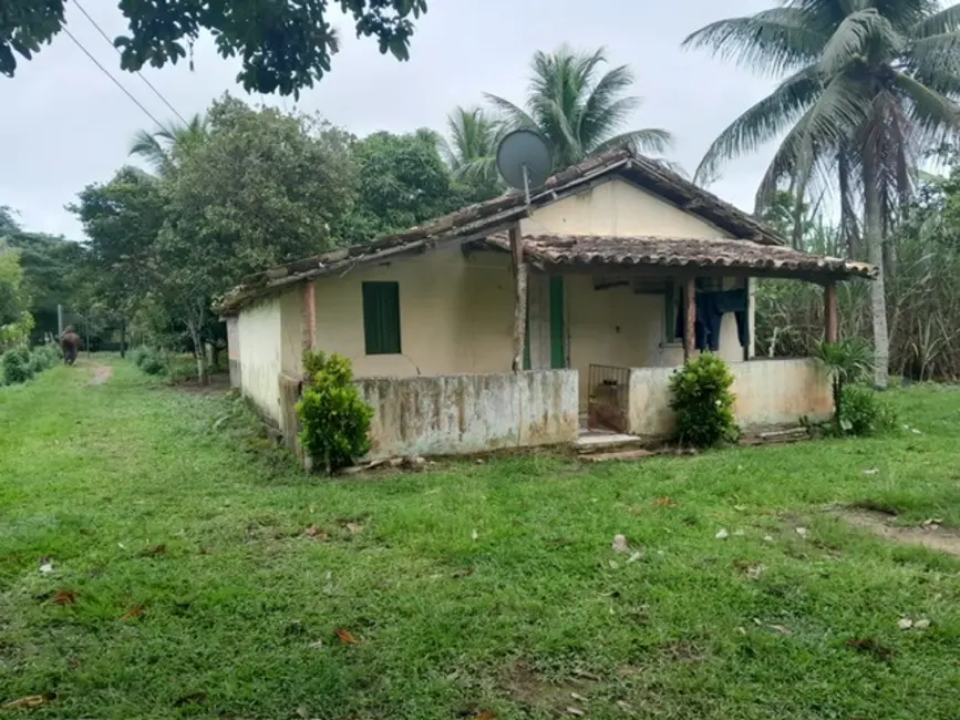 Fazenda / Haras à venda, 26m2 em Terra Nova - BA - imagem 8 Foto 8 de Fazenda / Haras à venda, 26m2 em Terra Nova - BA