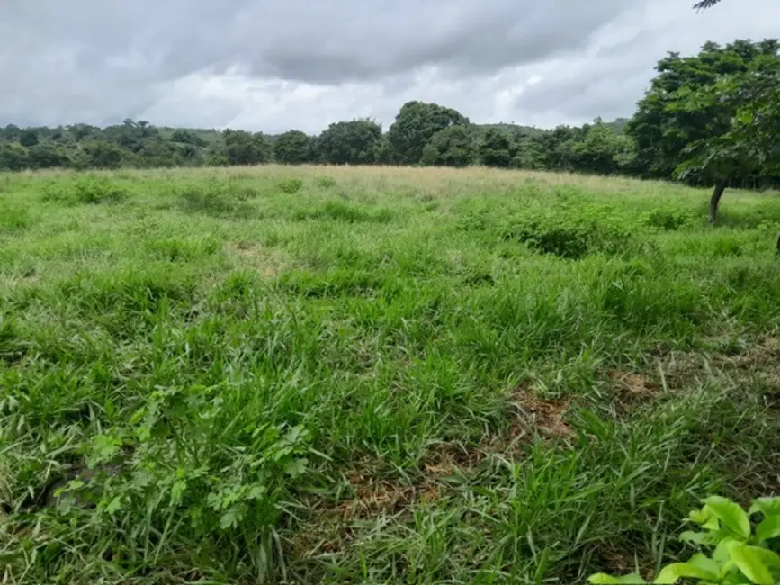 Fazenda / Haras à venda, 26m2 em Terra Nova - BA - imagem 2 Foto 2 de Fazenda / Haras à venda, 26m2 em Terra Nova - BA