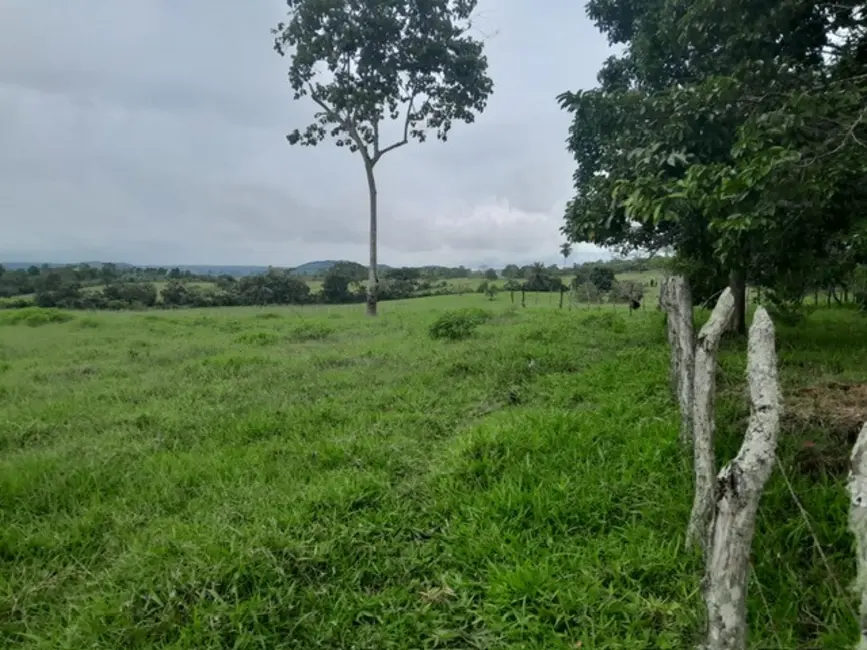 Fazenda / Haras à venda, 26m2 em Terra Nova - BA - imagem 6 Foto 6 de Fazenda / Haras à venda, 26m2 em Terra Nova - BA