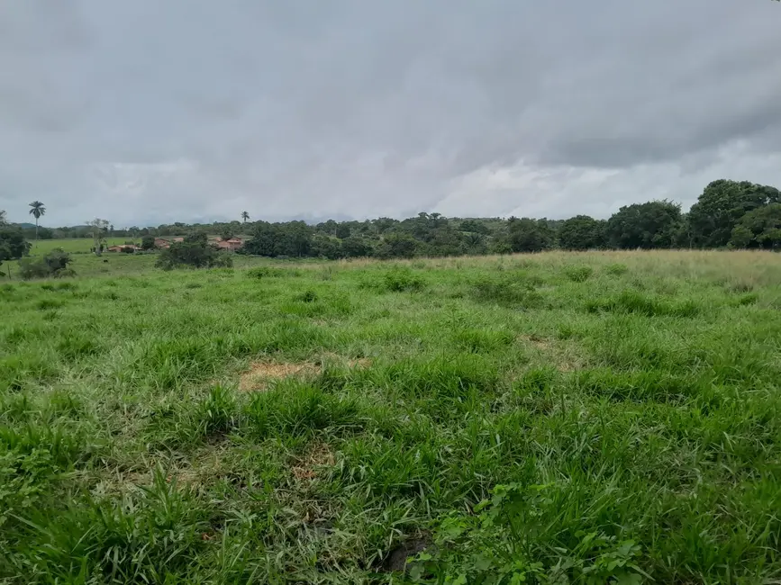 Fazenda / Haras à venda, 26m2 em Terra Nova - BA - imagem 5 Foto 5 de Fazenda / Haras à venda, 26m2 em Terra Nova - BA