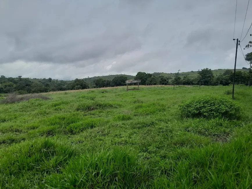 Fazenda / Haras à venda, 26m2 em Terra Nova - BA - imagem 4 Foto 4 de Fazenda / Haras à venda, 26m2 em Terra Nova - BA