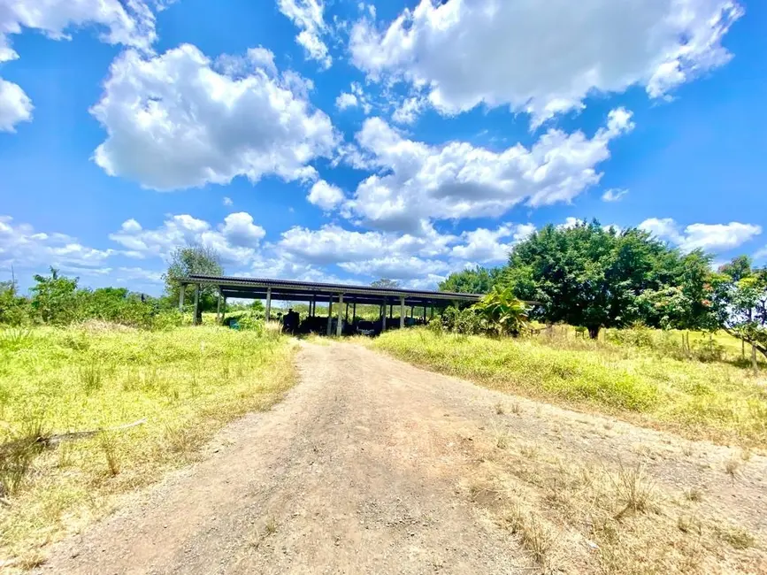 Foto 3 de Fazenda / Haras com 5 quartos à venda, 197m2 em Sao Sebastiao Do Passe - BA
