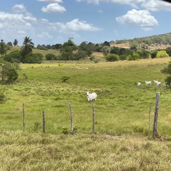 Foto 9 de Fazenda / Haras com 5 quartos à venda, 197m2 em Sao Sebastiao Do Passe - BA