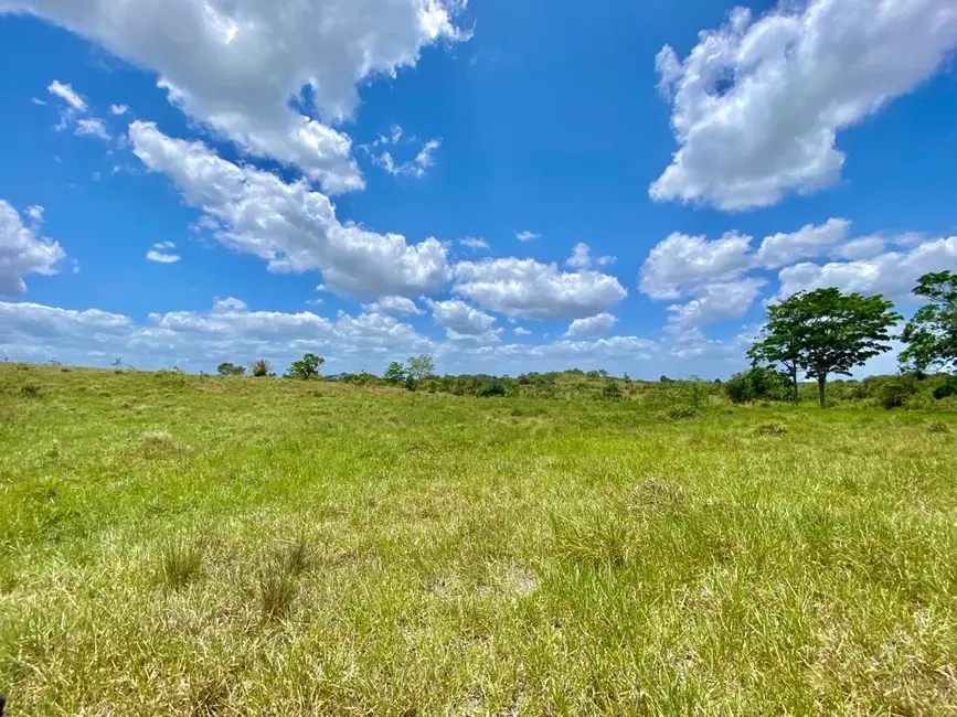 Foto 7 de Fazenda / Haras com 5 quartos à venda, 197m2 em Sao Sebastiao Do Passe - BA