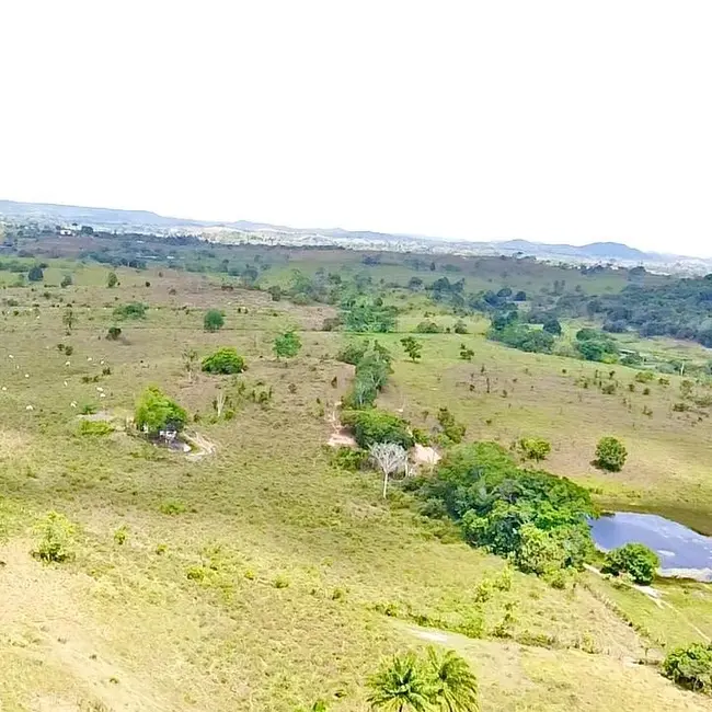 Foto 6 de Fazenda / Haras com 5 quartos à venda, 197m2 em Sao Sebastiao Do Passe - BA