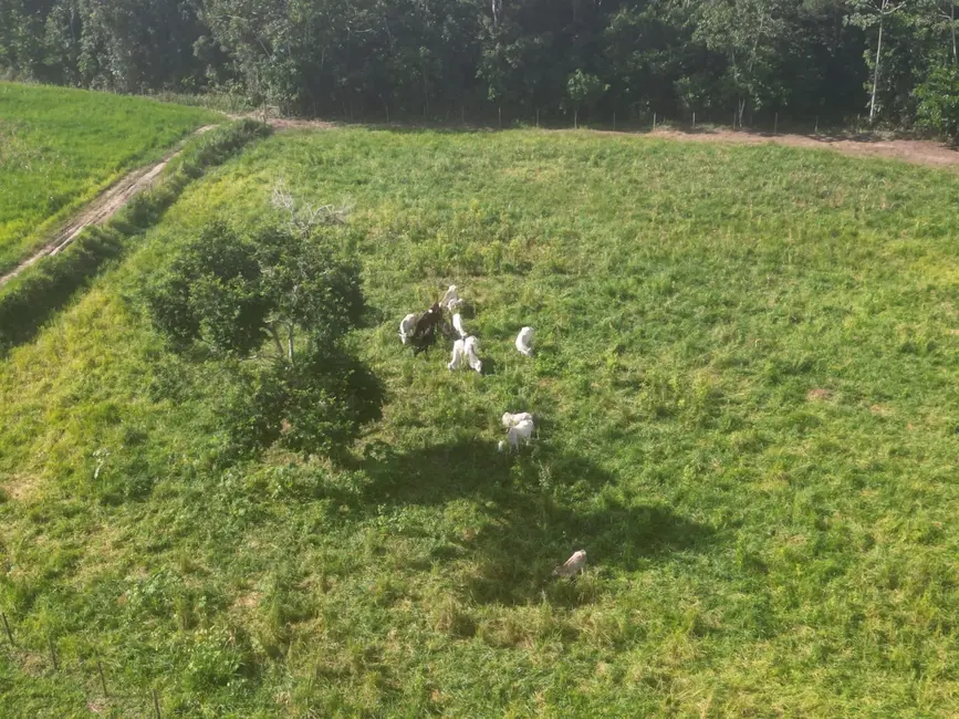 Foto 2 de Fazenda / Haras com 3 quartos à venda, 21m2 em Mata De Sao Joao - BA