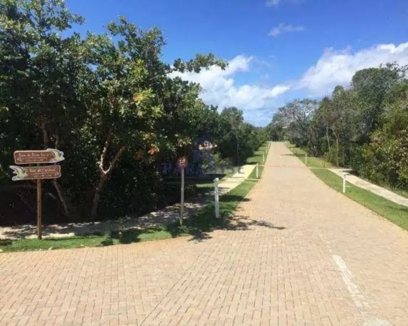 Foto 2 de Terreno / Lote à venda, 800m2 em Mata De Sao Joao - BA