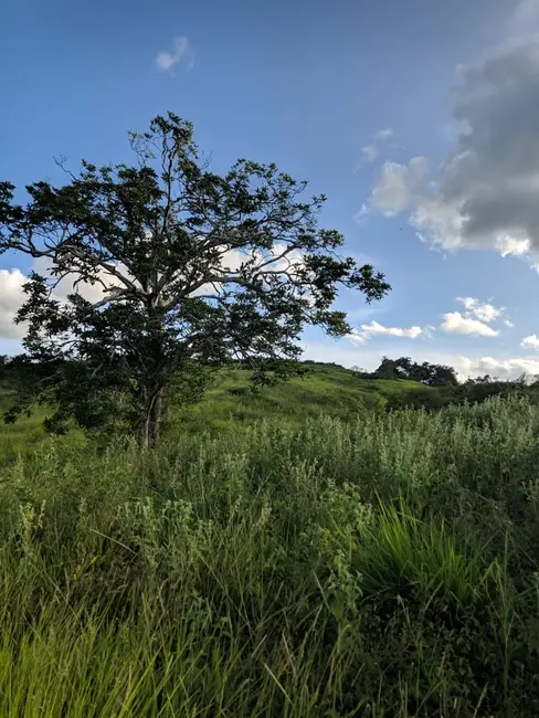 Foto 6 de Fazenda / Haras à venda, 43m2 em Coracao De Maria - BA