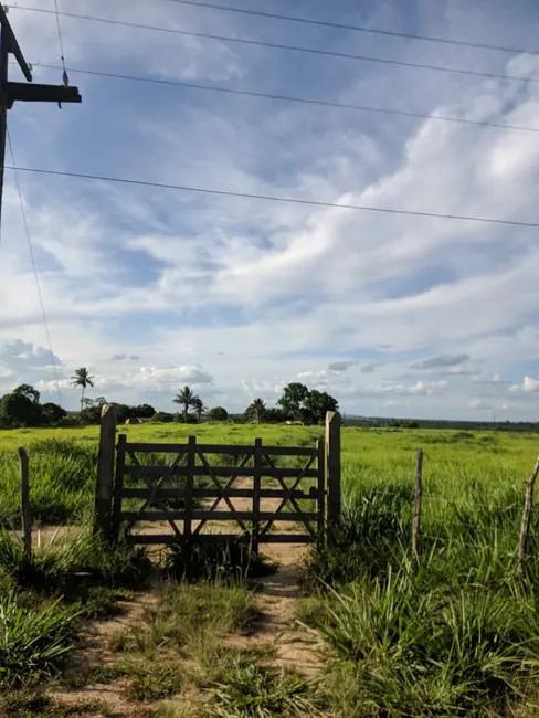 Foto 8 de Fazenda / Haras à venda, 43m2 em Coracao De Maria - BA