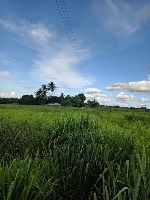 Foto 7 de Fazenda / Haras à venda, 43m2 em Coracao De Maria - BA