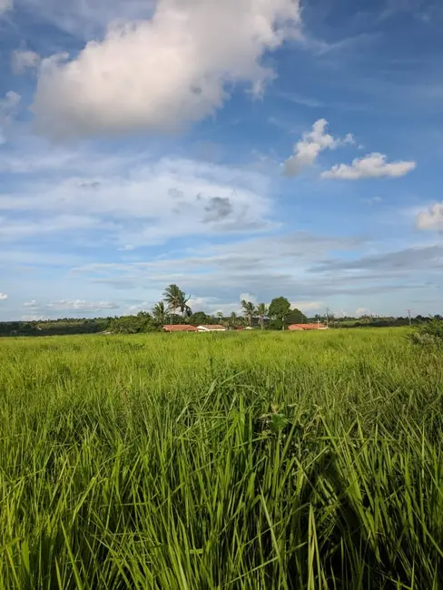 Foto 3 de Fazenda / Haras à venda, 43m2 em Coracao De Maria - BA