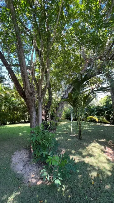 Casa de Condomínio com 4 quartos à venda, 395m2 em Costa do Sauípe, Mata De Sao Joao - BA - imagem 7 Foto 7 de Casa de Condomínio com 4 quartos à venda, 395m2 em Costa do Sauípe, Mata De Sao Joao - BA