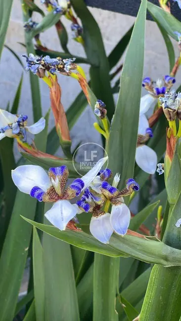 Casa com 3 quartos à venda, 150m2 em Parqville Pinheiros, Aparecida De Goiania - GO - imagem 8 Foto 8 de Casa com 3 quartos à venda, 150m2 em Parqville Pinheiros, Aparecida De Goiania - GO