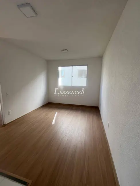 Apartamento com 2 quartos à venda, 42m2 em Setor Grajaú, Goiania - GO - imagem 1 Foto 1 de Apartamento com 2 quartos à venda, 42m2 em Setor Grajaú, Goiania - GO