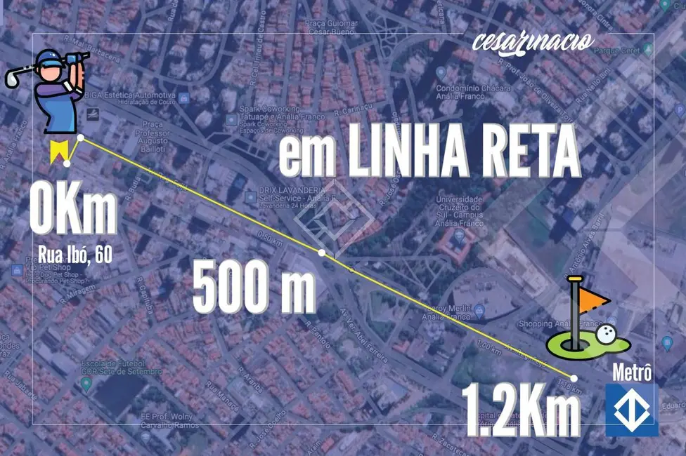 Terreno / Lote com 2 quartos à venda, 500m2 em Vila Regente Feijó, São Paulo - SP - imagem 4 Foto 4 de Terreno / Lote com 2 quartos à venda, 500m2 em Vila Regente Feijó, São Paulo - SP
