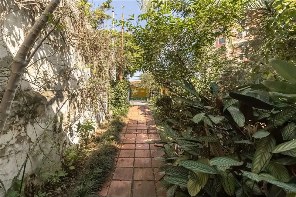 Casa com 3 quartos à venda, 261m2 em Alto da Lapa, São Paulo - SP - imagem 3 Foto 3 de Casa com 3 quartos à venda, 261m2 em Alto da Lapa, São Paulo - SP