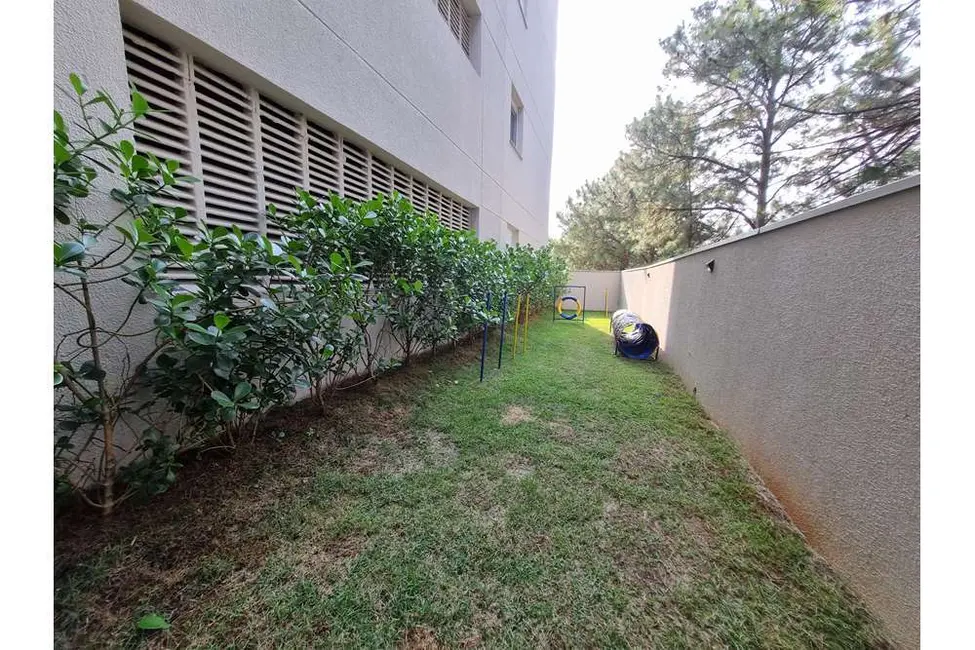 Foto 8 de Apartamento com 3 quartos à venda, 76m2 em Vila Suzana, São Paulo - SP