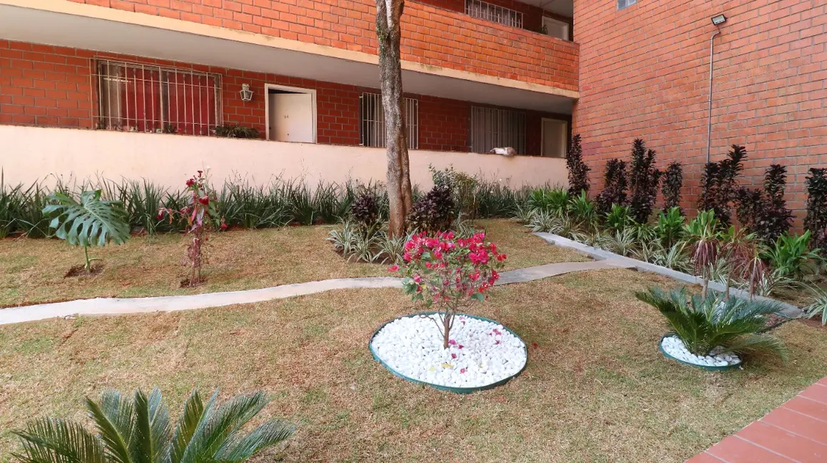 Foto 3 de Apartamento com 2 quartos à venda, 64m2 em Vila Espanhola, São Paulo - SP