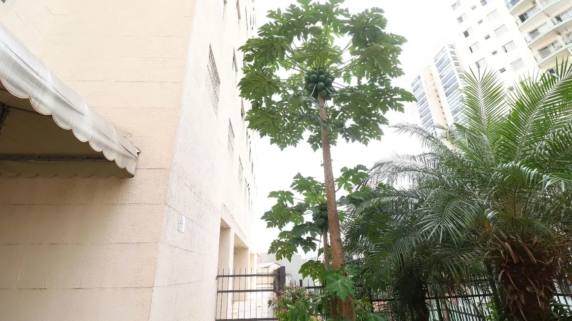 Foto 5 de Apartamento com 2 quartos à venda, 49m2 em Santa Teresinha, São Paulo - SP