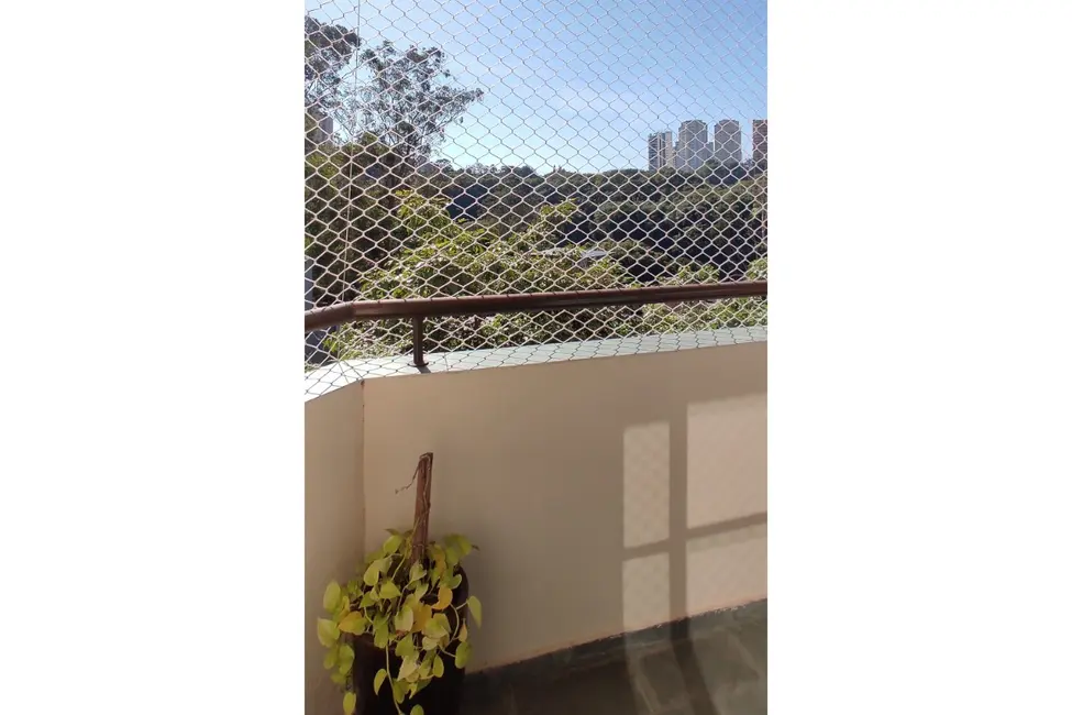 Apartamento com 3 quartos à venda, 61m2 em Morumbi, São Paulo - SP - imagem 8 Foto 8 de Apartamento com 3 quartos à venda, 61m2 em Morumbi, São Paulo - SP