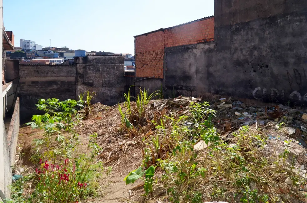 Terreno / Lote à venda, 250m2 em Jardim Almeida Prado, São Paulo - SP - imagem 3 Foto 3 de Terreno / Lote à venda, 250m2 em Jardim Almeida Prado, São Paulo - SP