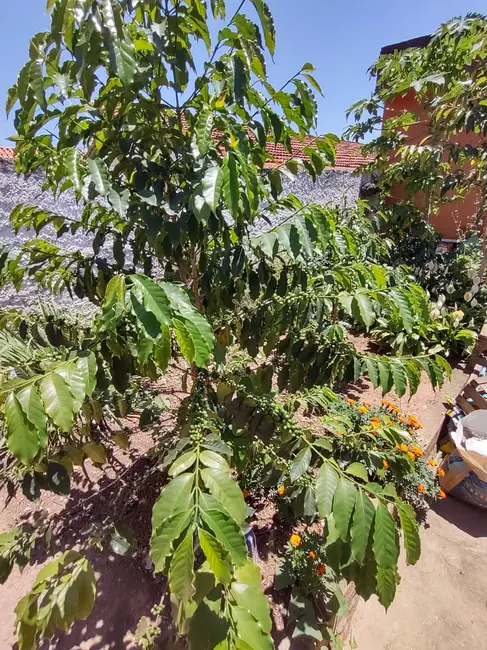 Foto 4 de Casa com 3 quartos à venda, 260m2 em Jardim Nosso Lar, São Paulo - SP