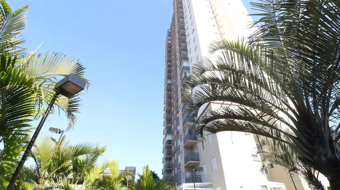 Foto 5 de Apartamento com 2 quartos à venda, 48m2 em Parque Edu Chaves, São Paulo - SP