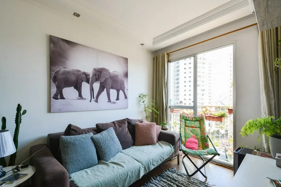 Foto 3 de Apartamento com 2 quartos à venda, 46m2 em Cambuci, São Paulo - SP