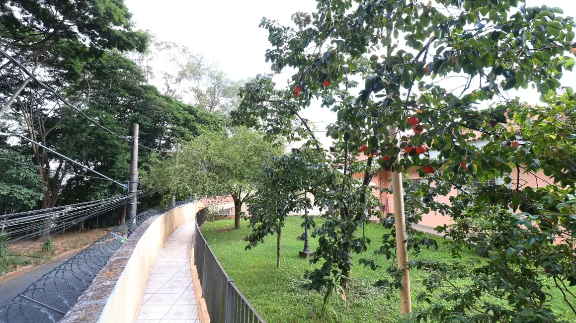 Casa de Vila com 4 quartos à venda, 179m2 em Jardim Peri Peri, São Paulo - SP - imagem 5 Foto 5 de Casa de Vila com 4 quartos à venda, 179m2 em Jardim Peri Peri, São Paulo - SP