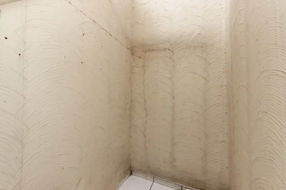 Foto 7 de Casa de Condomínio com 2 quartos à venda, 75m2 em Sítio do Mandaqui, São Paulo - SP