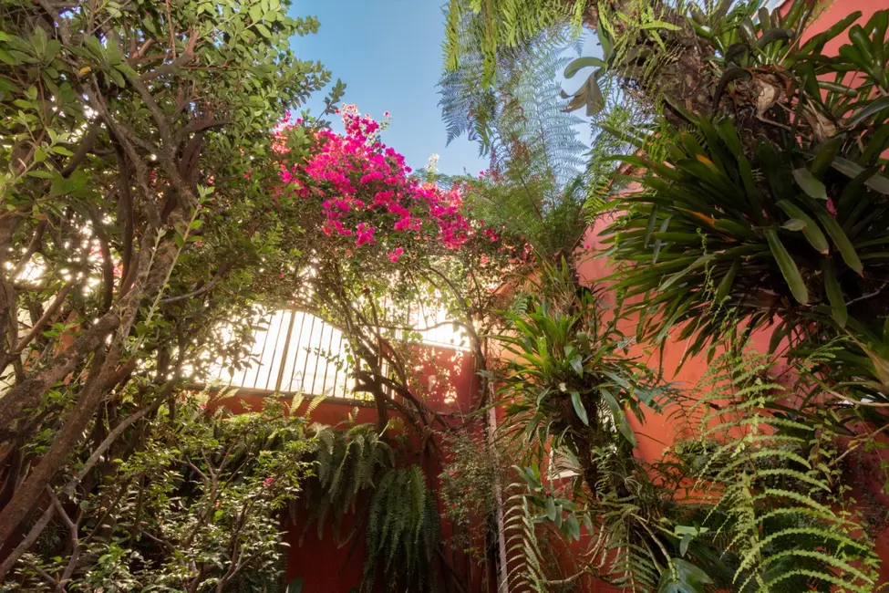 Foto 2 de Sobrado com 3 quartos à venda, 150m2 em Indianópolis, São Paulo - SP