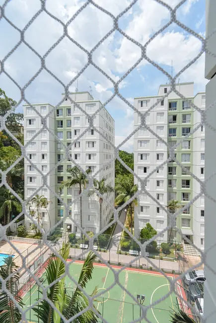 Apartamento com 3 quartos à venda, 65m2 em Instituto de Previdência, São Paulo - SP - imagem 8 Foto 8 de Apartamento com 3 quartos à venda, 65m2 em Instituto de Previdência, São Paulo - SP