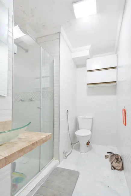 Apartamento com 3 quartos à venda, 65m2 em Instituto de Previdência, São Paulo - SP - imagem 9 Foto 9 de Apartamento com 3 quartos à venda, 65m2 em Instituto de Previdência, São Paulo - SP