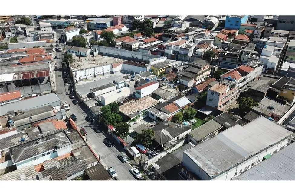 Terreno / Lote à venda em Vila Amélia, São Paulo - SP - imagem 8 Foto 8 de Terreno / Lote à venda em Vila Amélia, São Paulo - SP