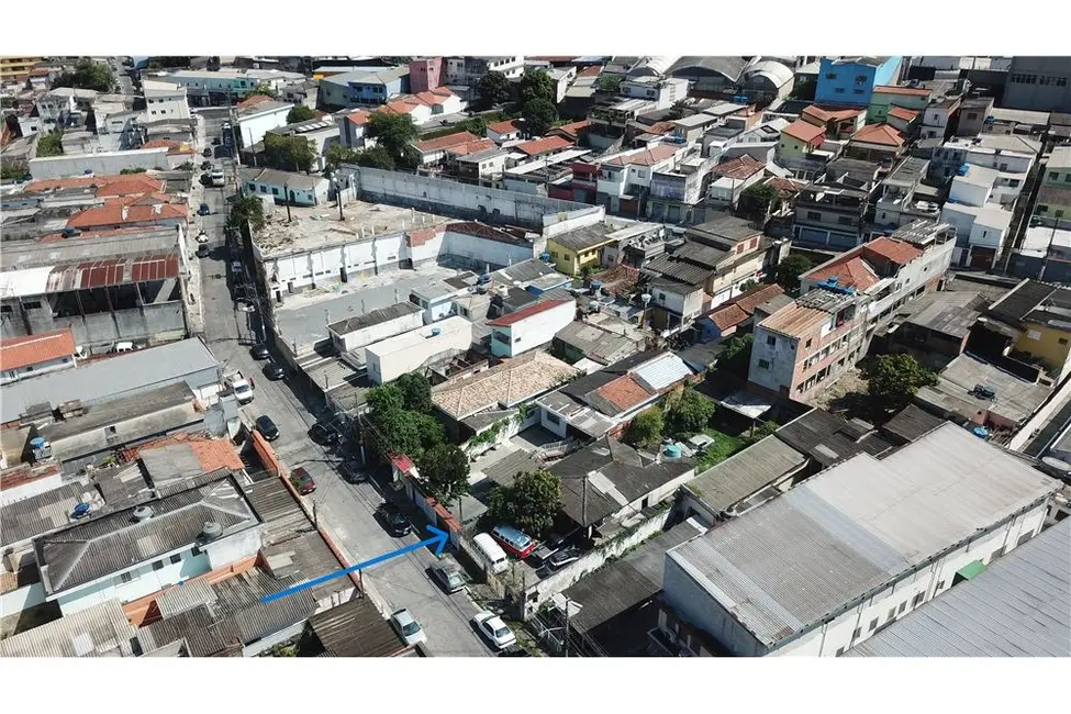 Terreno / Lote à venda em Vila Amélia, São Paulo - SP - imagem 3 Foto 3 de Terreno / Lote à venda em Vila Amélia, São Paulo - SP