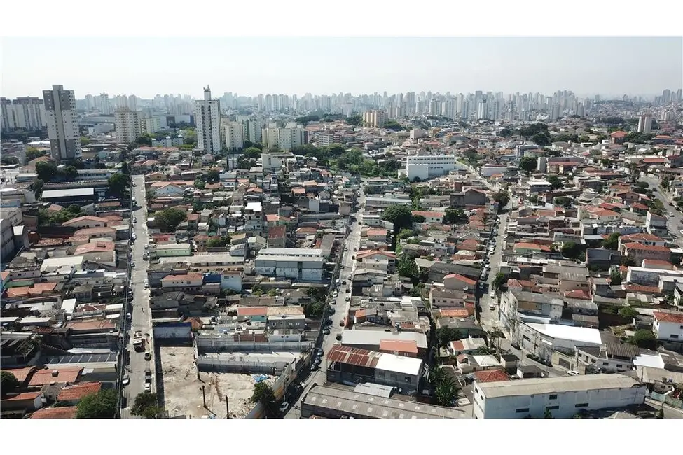 Terreno / Lote à venda em Vila Amélia, São Paulo - SP - imagem 6 Foto 6 de Terreno / Lote à venda em Vila Amélia, São Paulo - SP