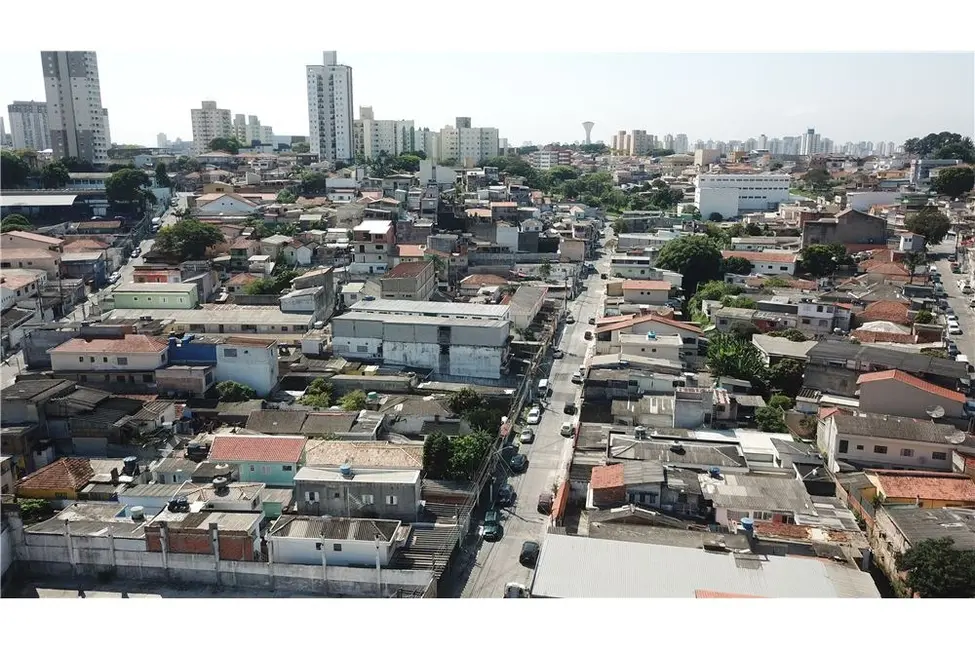 Terreno / Lote à venda em Vila Amélia, São Paulo - SP - imagem 7 Foto 7 de Terreno / Lote à venda em Vila Amélia, São Paulo - SP