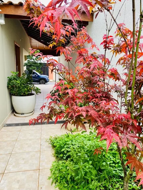 Foto 3 de Casa com 3 quartos à venda, 320m2 em Planalto Paulista, São Paulo - SP