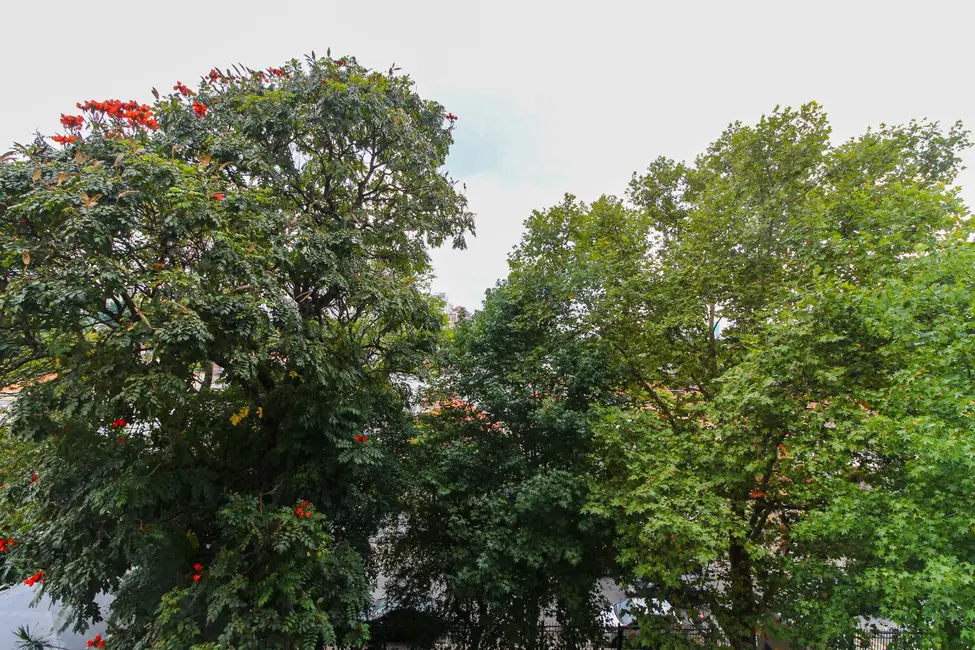 Foto 5 de Apartamento com 2 quartos à venda, 68m2 em Vila Olímpia, São Paulo - SP