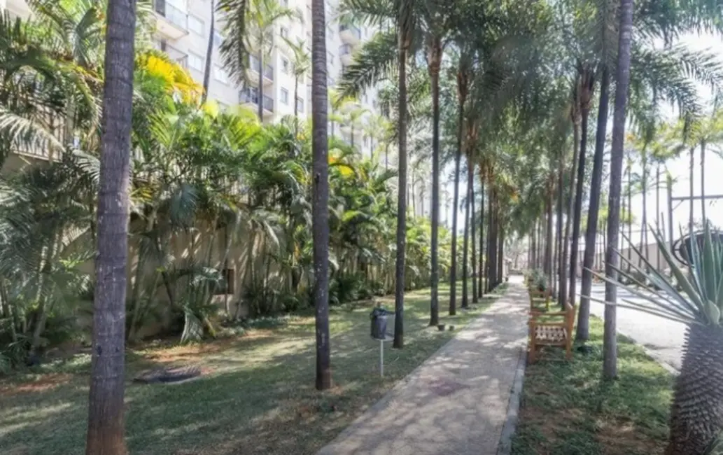 Apartamento com 2 quartos à venda, 60m2 em Água Branca, São Paulo - SP - imagem 5 Foto 5 de Apartamento com 2 quartos à venda, 60m2 em Água Branca, São Paulo - SP
