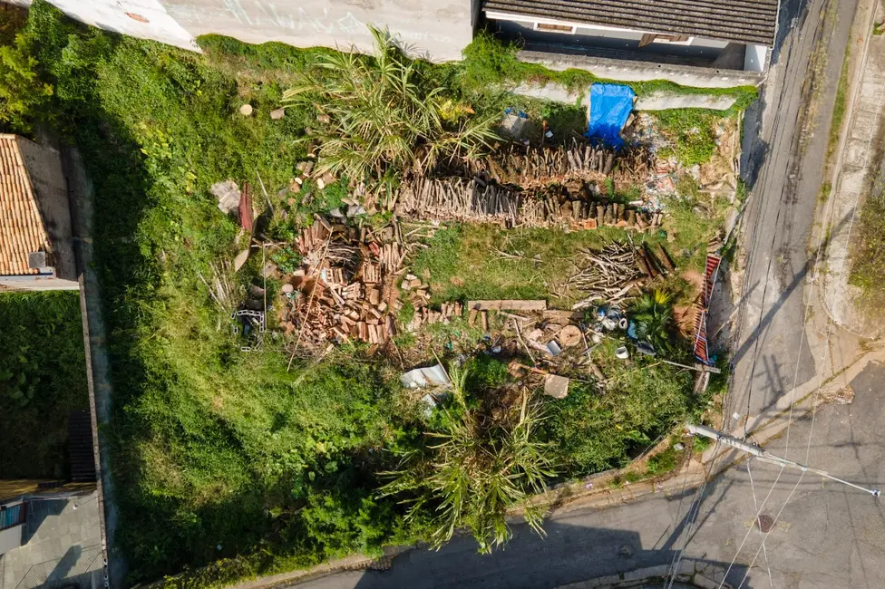 Foto 1 de Terreno / Lote à venda em Vila Morse, São Paulo - SP