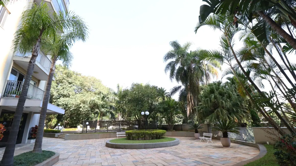 Apartamento com 2 quartos à venda, 107m2 em Vila Suzana, São Paulo - SP - imagem 3 Foto 3 de Apartamento com 2 quartos à venda, 107m2 em Vila Suzana, São Paulo - SP