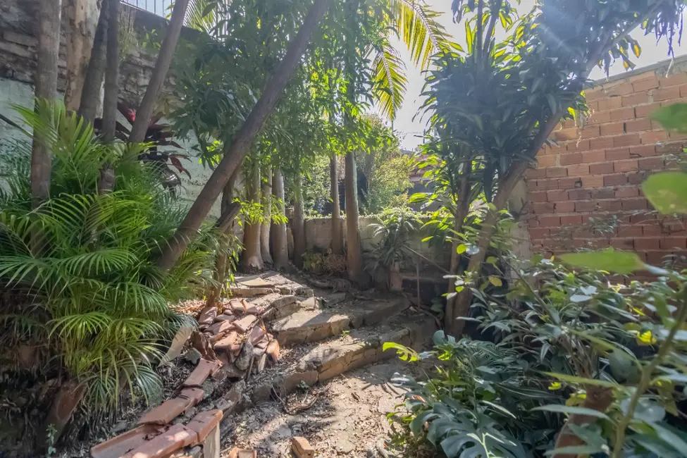Terreno / Lote à venda em Vila Guedes, São Paulo - SP - imagem 7 Foto 7 de Terreno / Lote à venda em Vila Guedes, São Paulo - SP
