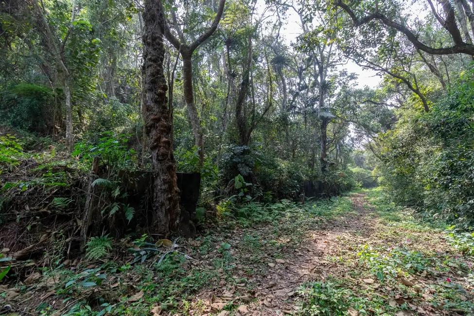 Terreno / Lote à venda em Chácara Vista Alegre, São Paulo - SP - imagem 3 Foto 3 de Terreno / Lote à venda em Chácara Vista Alegre, São Paulo - SP