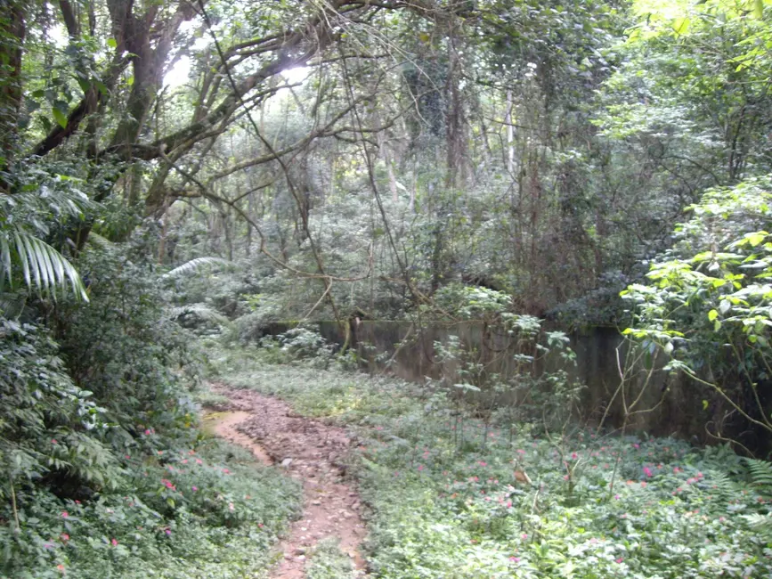 Terreno / Lote à venda em Chácara Vista Alegre, São Paulo - SP - imagem 9 Foto 9 de Terreno / Lote à venda em Chácara Vista Alegre, São Paulo - SP