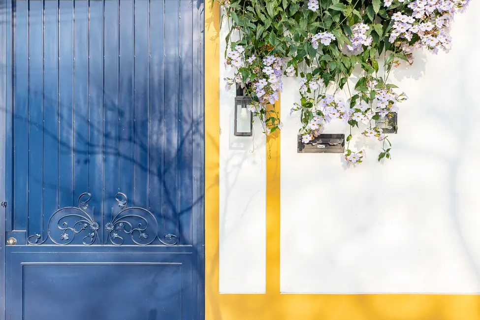 Foto 5 de Casa com 4 quartos à venda, 450m2 em Chácara Monte Alegre, São Paulo - SP