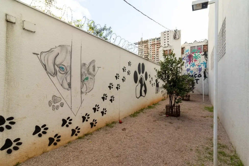 Foto 4 de Apartamento com 3 quartos à venda, 58m2 em Limão, São Paulo - SP