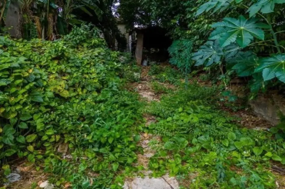 Terreno / Lote à venda em Piqueri, São Paulo - SP - imagem 8 Foto 8 de Terreno / Lote à venda em Piqueri, São Paulo - SP