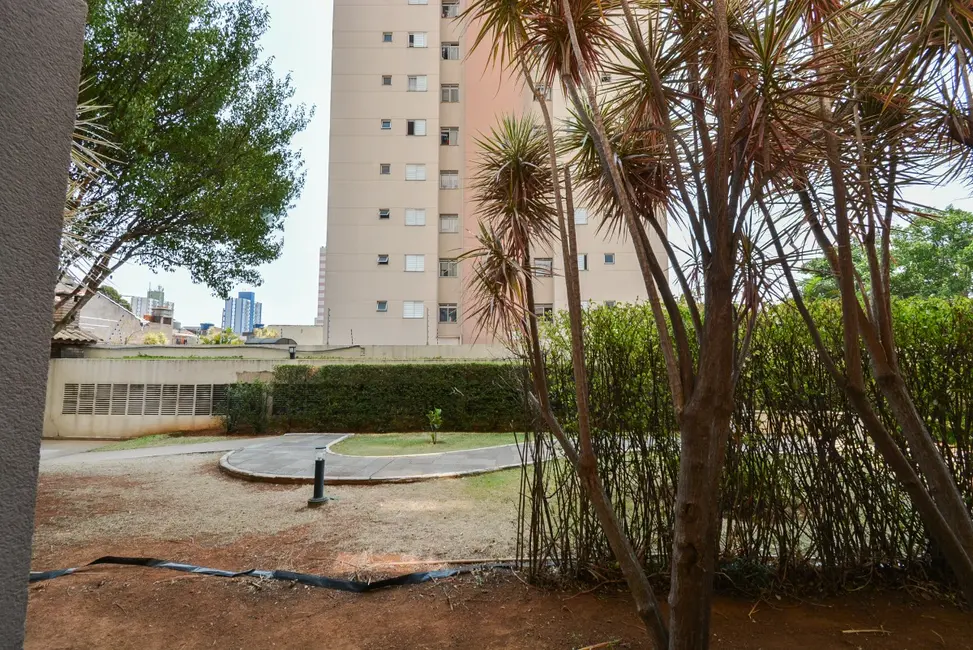 Apartamento com 2 quartos à venda, 46m2 em Chácara Califórnia, São Paulo - SP - imagem 6 Foto 6 de Apartamento com 2 quartos à venda, 46m2 em Chácara Califórnia, São Paulo - SP