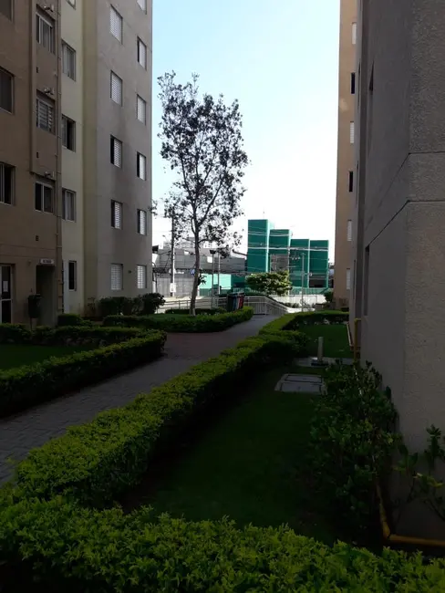 Foto 3 de Apartamento com 3 quartos à venda, 60m2 em Sítio Pinheirinho, São Paulo - SP